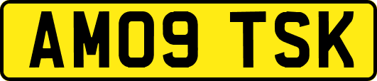 AM09TSK
