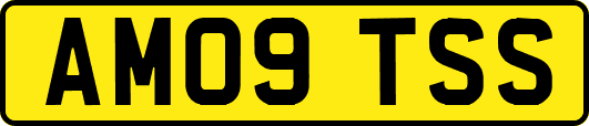 AM09TSS