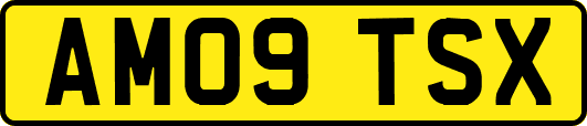 AM09TSX