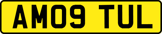 AM09TUL