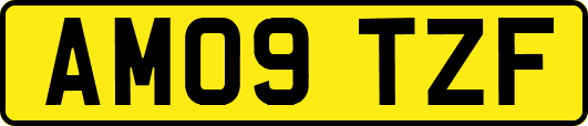 AM09TZF