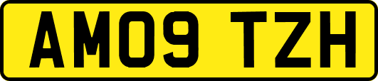 AM09TZH