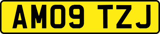 AM09TZJ