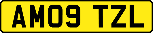 AM09TZL