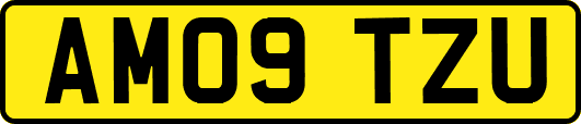 AM09TZU