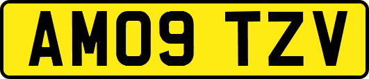 AM09TZV