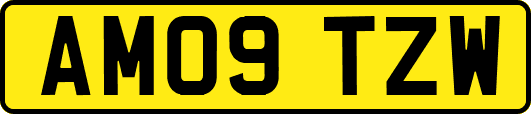 AM09TZW