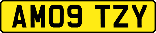 AM09TZY