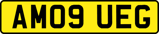 AM09UEG