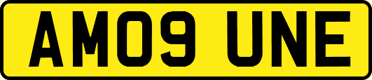 AM09UNE