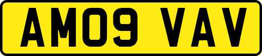 AM09VAV