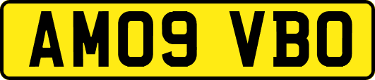 AM09VBO