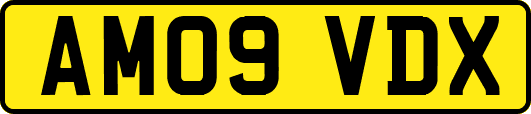 AM09VDX