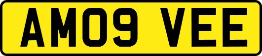 AM09VEE
