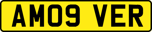 AM09VER