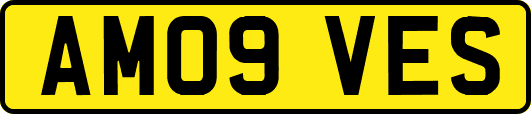 AM09VES