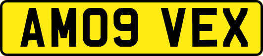 AM09VEX