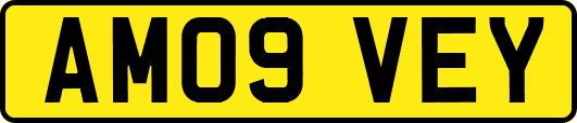 AM09VEY