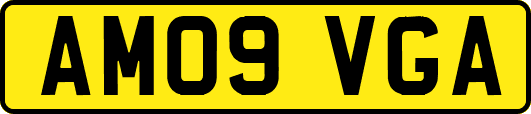 AM09VGA