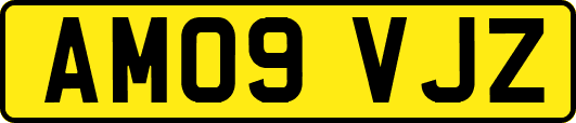 AM09VJZ