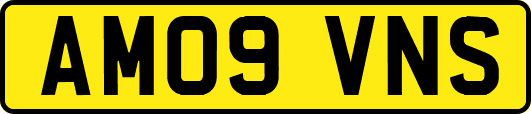 AM09VNS