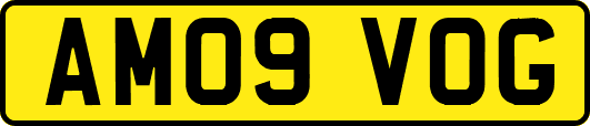 AM09VOG