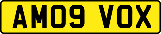 AM09VOX