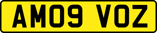 AM09VOZ