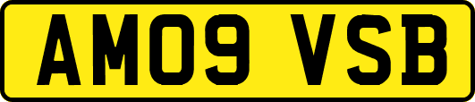 AM09VSB