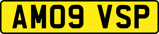 AM09VSP