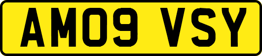 AM09VSY