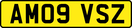 AM09VSZ
