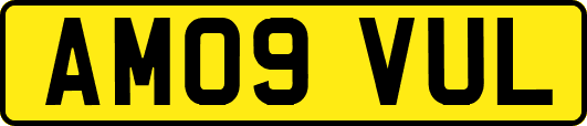 AM09VUL