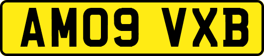 AM09VXB
