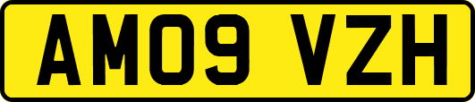 AM09VZH