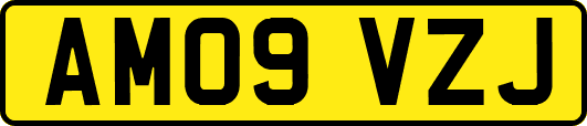 AM09VZJ