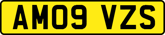 AM09VZS
