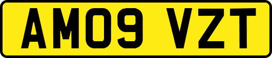AM09VZT