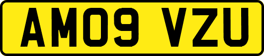 AM09VZU