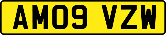 AM09VZW