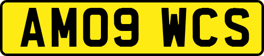 AM09WCS