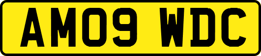 AM09WDC