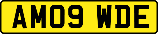 AM09WDE
