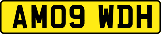 AM09WDH