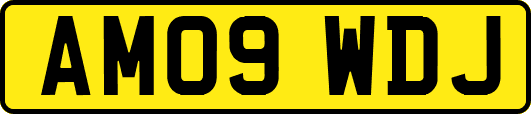 AM09WDJ