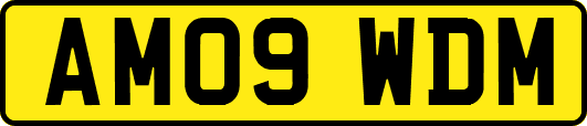 AM09WDM