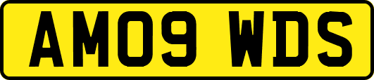 AM09WDS
