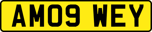 AM09WEY