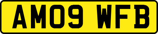 AM09WFB
