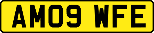 AM09WFE